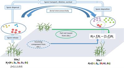 Assessing the Aerial Interconnectivity of Distant Reservoirs of Sclerotinia sclerotiorum